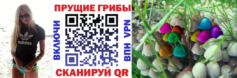 Псилоцибиновые грибы GOLDEN TEACHER  shop телеграм  Белинский 